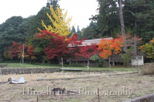 img-002 紅葉